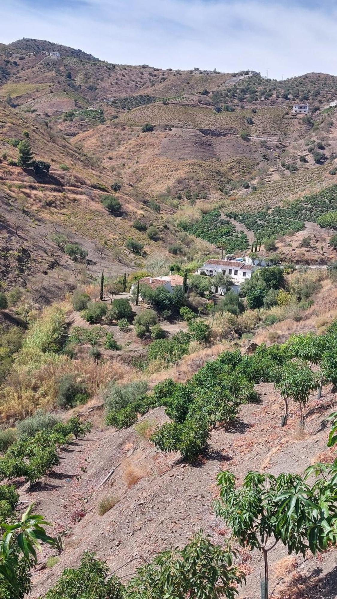 Pensjonat Cortijo Lagar De Luisa Borge Zewnętrze zdjęcie